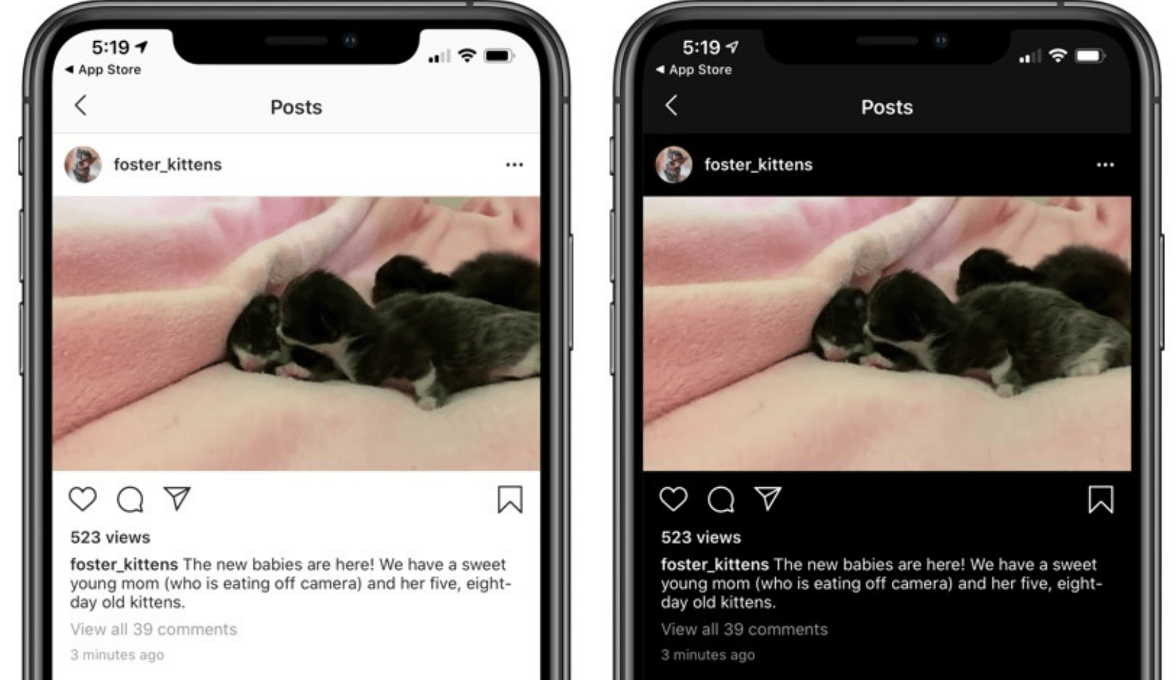 Screen Shot 2019 10 08 at 3.49.30 PM