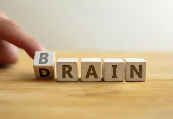 Brain drain: Ένας στους δύο νέους θέλει να εργαστεί στο εξωτερικό