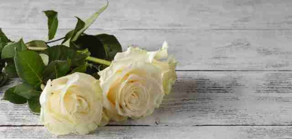 Θλίψη για τον θάνατο 19χρονης φοιτήτριας! Συγκινεί ο καθηγητής της