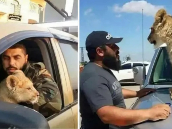 Δημόσια εκτέλεση για τον Σύριο “στρατηγό” που τάιζε με αιχμαλώτους το κατοικίδιο λιοντάρι του