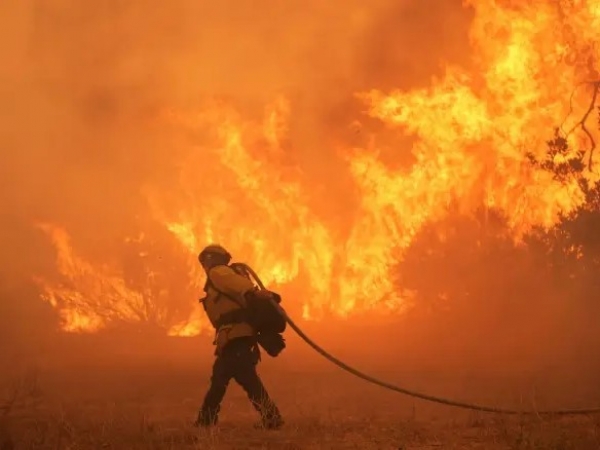 Η κλιματική αλλαγή 40πλασίασε την πιθανότητα κυμάτων καύσωνα που ευνοούν τις πυρκαγιές