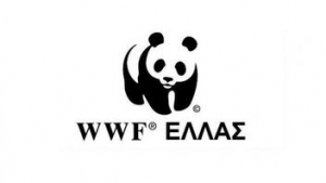 WWF: Σε καλεί να γίνεις μέντορας μαθητών και μαθητριών
