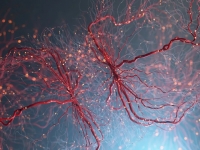 Σκλήρυνση Κατά Πλάκας: Νέα θεραπεία από Έλληνα επιστήμονα δίνει ελπίδες