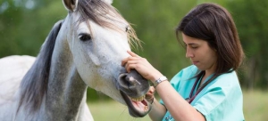 Τα 15 πιο ανθυγιεινά επαγγέλματα -Κάνουν κακό στην υγεία