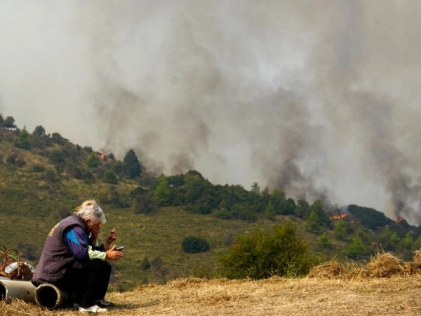 Πρόστιμο σε αντιδήμαρχο για τη φωτιά στο Ξυλόκαστρο - Κάπνιζε τα μελίσσια του