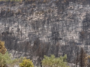 Ο Ωρωπός μετράει τις πληγές του - Αυτοψία του CNN Greece