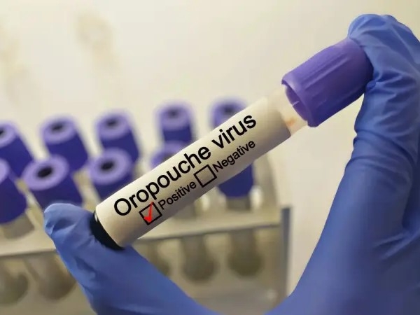 Ο ιός Oropouche έφτασε στην Ευρώπη