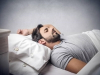 Μούσι: Πώς λέγεται στα ελληνικά;