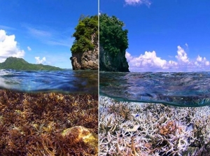 Τα μοναδικά #10YearChallenge που έχουν σημασία και η αληθινή πρόκληση πίσω απ' αυτά