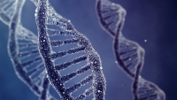 Ο νέος τύπος σκληρού δίσκου λέγεται…DNA!