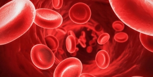 Δεν θα πιστεύεις τι αναφέρει έρευνα για το ανθρώπινο σώμα