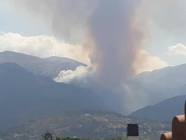 Φωτιά τώρα στην Πάτρα, επιχειρούν 8 εναέρια